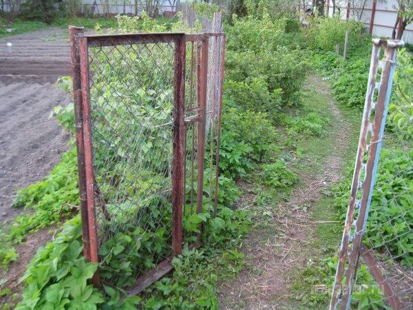 Самоделки для дачи. Удобная калитка.