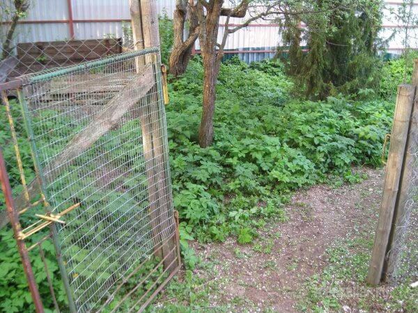 Самодельная калитка