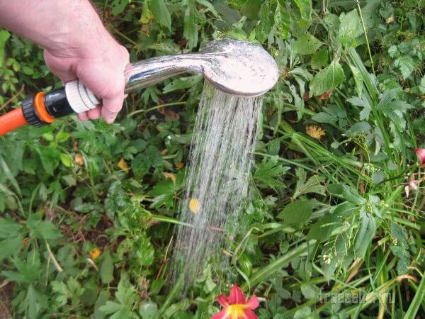 Приспособление для полива из старой душевой лейки