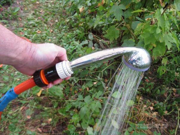 Приспособление для полива из старой душевой лейки